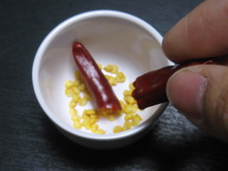 唐辛子のたねとり.JPG